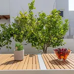 Apartment Sorokos 8 Naxos City